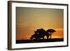 Black Hook-Lipped Rhino Mating at Sunset-null-Framed Photographic Print