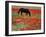 Black Horse in a Poppy Field, Chianti, Tuscany, Italy, Europe-Patrick Dieudonne-Framed Photographic Print