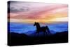 Black Horse M2-Ata Alishahi-Stretched Canvas