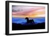 Black Horse M2-Ata Alishahi-Framed Giclee Print