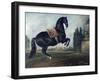 Black Horse Performing the Courbette-Johann Georg de Hamilton-Framed Giclee Print