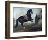 Black Horse Performing the Courbette-Johann Georg de Hamilton-Framed Giclee Print