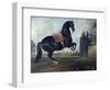 Black Horse Performing the Courbette-Johann Georg de Hamilton-Framed Giclee Print