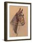 Black Horse with White Blaze-null-Framed Premium Giclee Print