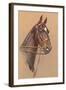 Black Horse with White Blaze-null-Framed Art Print