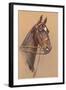 Black Horse with White Blaze-null-Framed Art Print