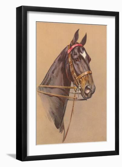 Black Horse with White Blaze-null-Framed Art Print