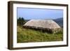 Black House, Colbost Folk Museum, Skye, Highland, Scotland-Peter Thompson-Framed Photographic Print