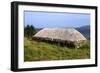 Black House, Colbost Folk Museum, Skye, Highland, Scotland-Peter Thompson-Framed Photographic Print