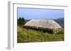 Black House, Colbost Folk Museum, Skye, Highland, Scotland-Peter Thompson-Framed Photographic Print
