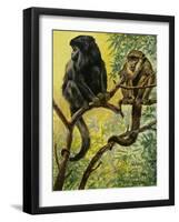 Black Howler (Alouatta Caraya), Atelidae, Drawing-null-Framed Giclee Print