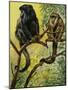 Black Howler (Alouatta Caraya), Atelidae, Drawing-null-Mounted Giclee Print