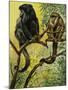 Black Howler (Alouatta Caraya), Atelidae, Drawing-null-Mounted Giclee Print