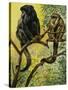 Black Howler (Alouatta Caraya), Atelidae, Drawing-null-Stretched Canvas