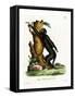 Black Howler-null-Framed Stretched Canvas