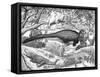 Black Ink Drawing of Extinct Animals from the Hell Creek Formation-null-Framed Stretched Canvas
