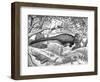 Black Ink Drawing of Extinct Animals from the Hell Creek Formation-null-Framed Art Print