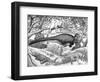 Black Ink Drawing of Extinct Animals from the Hell Creek Formation-null-Framed Art Print