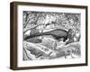 Black Ink Drawing of Extinct Animals from the Hell Creek Formation-null-Framed Art Print