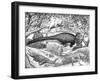 Black Ink Drawing of Extinct Animals from the Hell Creek Formation-null-Framed Art Print