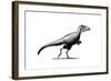 Black Ink Drawing of Teratophoneus Curriei-null-Framed Art Print