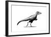 Black Ink Drawing of Teratophoneus Curriei-null-Framed Art Print