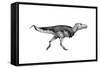Black Ink Drawing of Zhuchengtyrannus Magnus-null-Framed Stretched Canvas