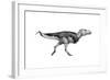 Black Ink Drawing of Zhuchengtyrannus Magnus-null-Framed Art Print