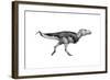 Black Ink Drawing of Zhuchengtyrannus Magnus-null-Framed Art Print