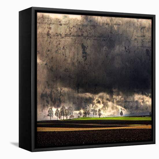 Black Ink Sky-Philippe Sainte-Laudy-Framed Stretched Canvas