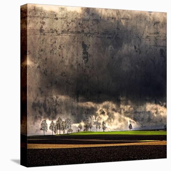 Black Ink Sky-Philippe Sainte-Laudy-Stretched Canvas