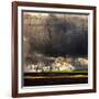 Black Ink Sky-Philippe Sainte-Laudy-Framed Photographic Print