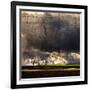 Black Ink Sky-Philippe Sainte-Laudy-Framed Photographic Print