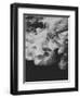 Black Ink-Design Fabrikken-Framed Photographic Print