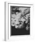 Black Ink-Design Fabrikken-Framed Photographic Print