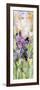 Black Iris-Sharon Pitts-Framed Giclee Print