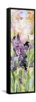 Black Iris-Sharon Pitts-Framed Stretched Canvas