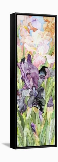 Black Iris-Sharon Pitts-Framed Stretched Canvas