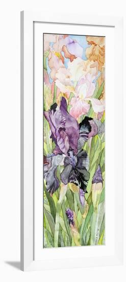 Black Iris-Sharon Pitts-Framed Giclee Print