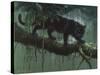Black Jaguar-Harro Maass-Stretched Canvas