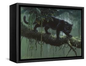Black Jaguar-Harro Maass-Framed Stretched Canvas
