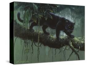 Black Jaguar-Harro Maass-Stretched Canvas