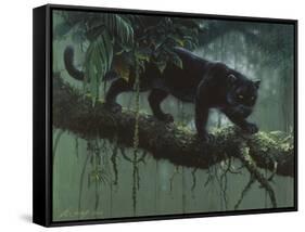 Black Jaguar-Harro Maass-Framed Stretched Canvas