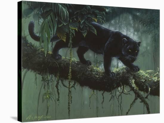 Black Jaguar-Harro Maass-Stretched Canvas