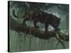 Black Jaguar-Harro Maass-Stretched Canvas