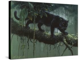 Black Jaguar-Harro Maass-Stretched Canvas