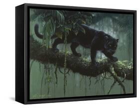 Black Jaguar-Harro Maass-Framed Stretched Canvas