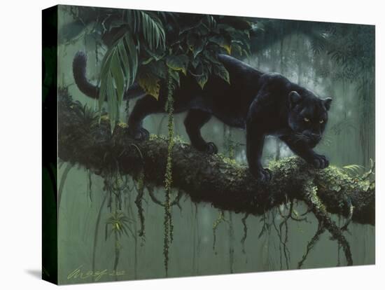 Black Jaguar-Harro Maass-Stretched Canvas