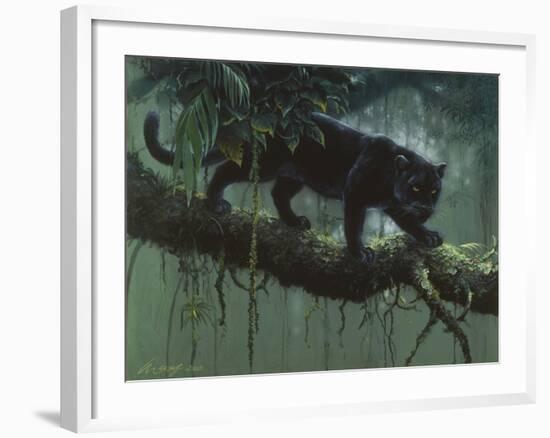 Black Jaguar-Harro Maass-Framed Giclee Print