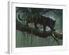 Black Jaguar-Harro Maass-Framed Giclee Print